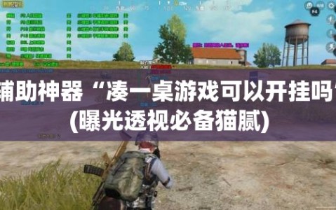 辅助神器“凑一桌游戏可以开挂吗”(曝光透视必备猫腻)