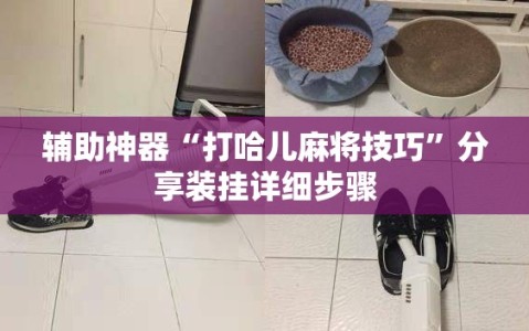 辅助神器“打哈儿麻将技巧”分享装挂详细步骤