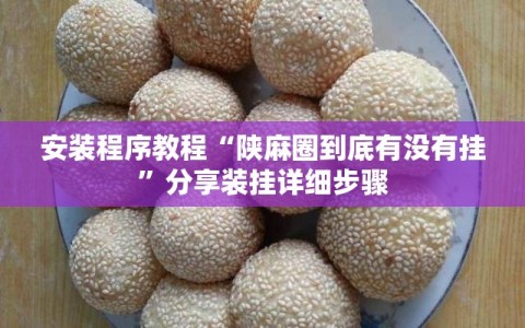 安装程序教程“陕麻圈到底有没有挂”分享装挂详细步骤
