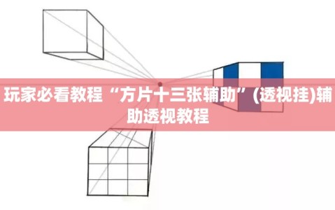玩家必看教程“方片十三张辅助”(透视挂)辅助透视教程