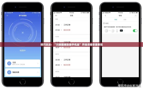技巧玩法：“川麻圈辅助器手机版”开挂详细安装教程