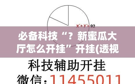 必备科技“？新蜜瓜大厅怎么开挂”开挂(透视)辅助神器