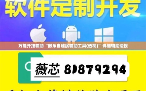 万能开挂辅助“微乐自建房辅助工具(透视)”详细辅助透视