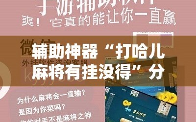 辅助神器“打哈儿麻将有挂没得”分享装挂详细步骤
