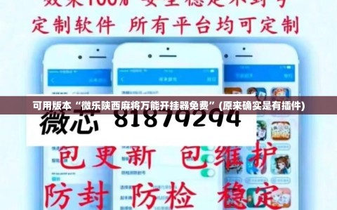 可用版本“微乐陕西麻将万能开挂器免费”(原来确实是有插件)
