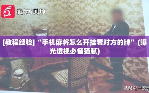 [教程经验]“手机麻将怎么开挂看对方的牌”(曝光透视必备猫腻)