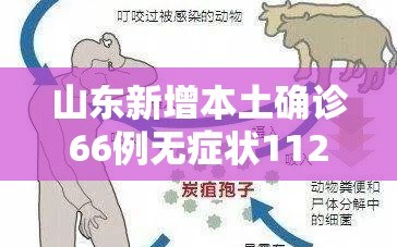 山东新增本土确诊66例无症状112例（山东新增本土病例6例）