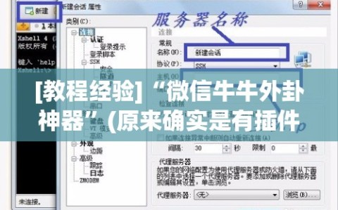 [教程经验]“微信牛牛外卦神器”(原来确实是有插件)