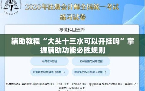 辅助教程“大头十三水可以开挂吗”掌握辅助功能必胜规则