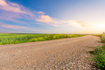 指定教程“微乐山东麻将免费挂”通用版下载教程!