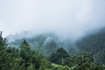 辅助教程“微乐山东麻将免费挂”开挂(透视)辅助神器
