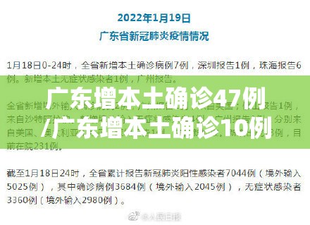广东增本土确诊47例/广东增本土确诊10例详情