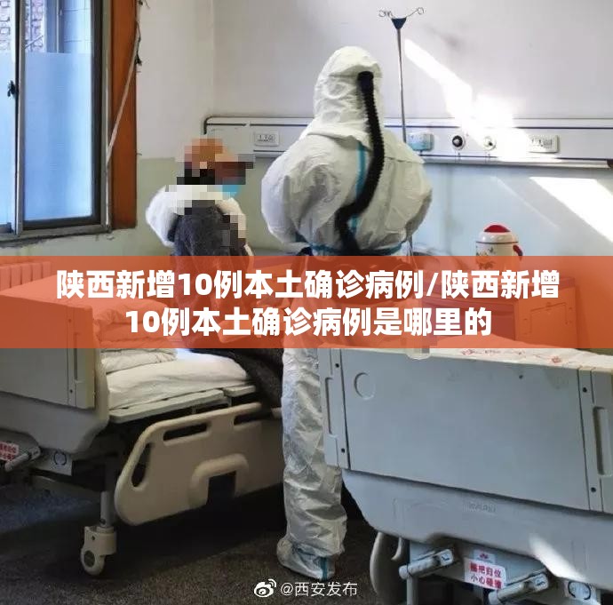 陕西新增10例本土确诊病例/陕西新增10例本土确诊病例是哪里的 陕西新增10例本土确诊病例/陕西新增10例本土确诊病例是哪里的