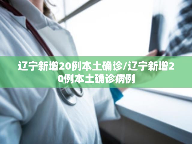 辽宁新增20例本土确诊/辽宁新增20例本土确诊病例