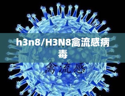 h3n8/H3N8禽流感病毒 h3n8/H3N8禽流感病毒