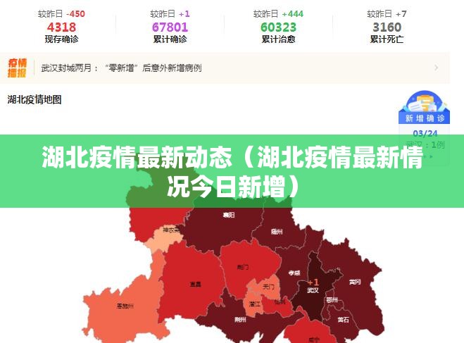 湖北疫情最新动态（湖北疫情最新情况今日新增）