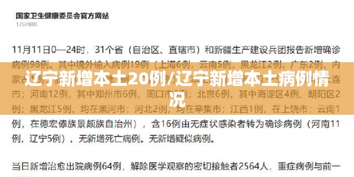 辽宁新增本土20例/辽宁新增本土病例情况