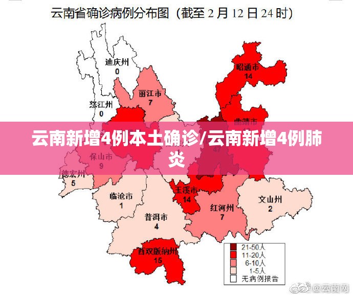云南新增4例本土确诊/云南新增4例肺炎 云南新增4例本土确诊/云南新增4例肺炎