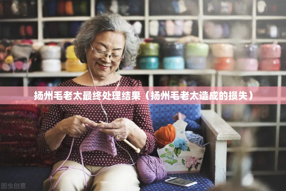 扬州毛老太最终处理结果（扬州毛老太造成的损失）