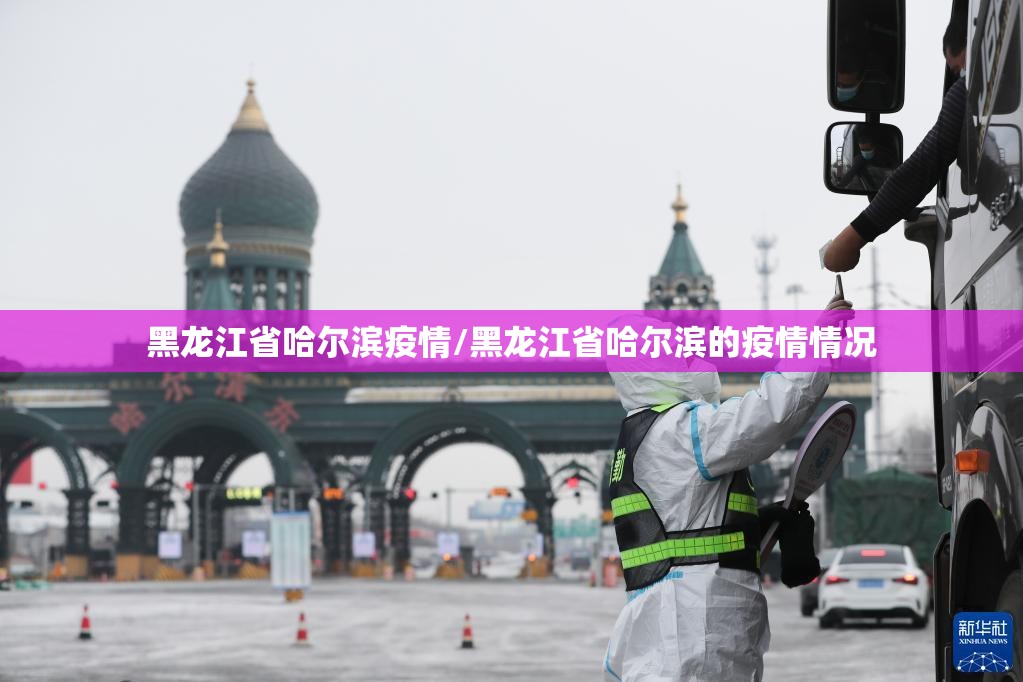黑龙江省哈尔滨疫情/黑龙江省哈尔滨的疫情情况 黑龙江省哈尔滨疫情/黑龙江省哈尔滨的疫情情况