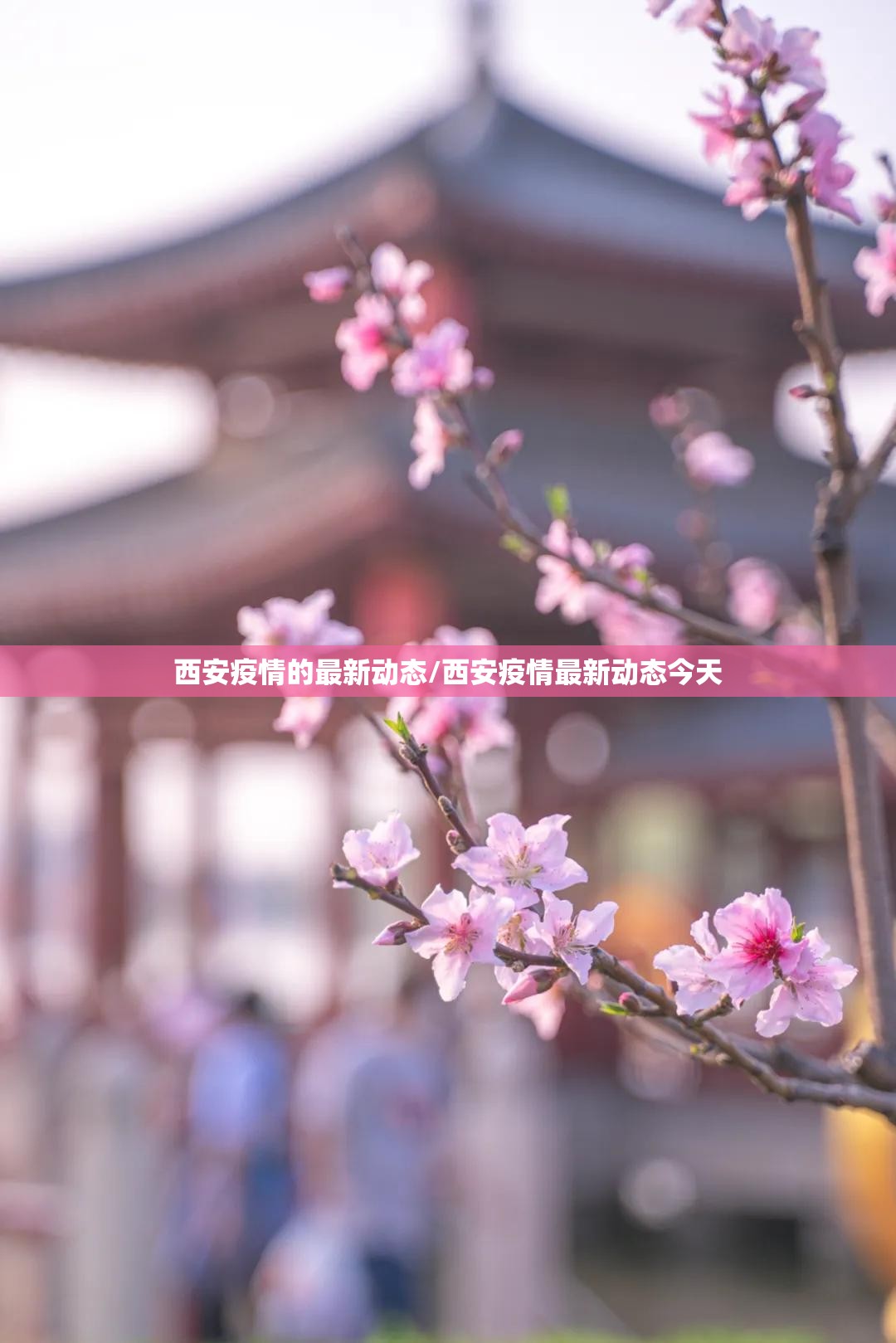 西安疫情的最新动态/西安疫情最新动态今天 西安疫情的最新动态/西安疫情最新动态今天