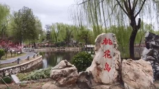 石家庄新增病例行动轨迹/石家庄新增确诊病例行踪轨迹