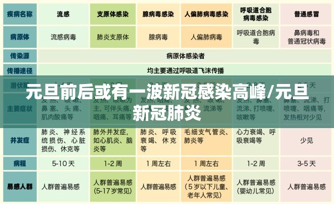 元旦前后或有一波新冠感染高峰/元旦新冠肺炎 元旦前后或有一波新冠感染高峰/元旦新冠肺炎
