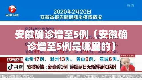 安徽确诊增至5例（安徽确诊增至5例是哪里的）