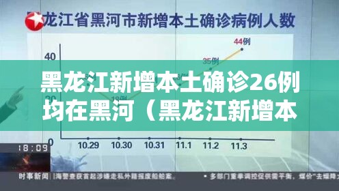 黑龙江新增本土确诊26例均在黑河（黑龙江新增本土确诊行动轨迹）