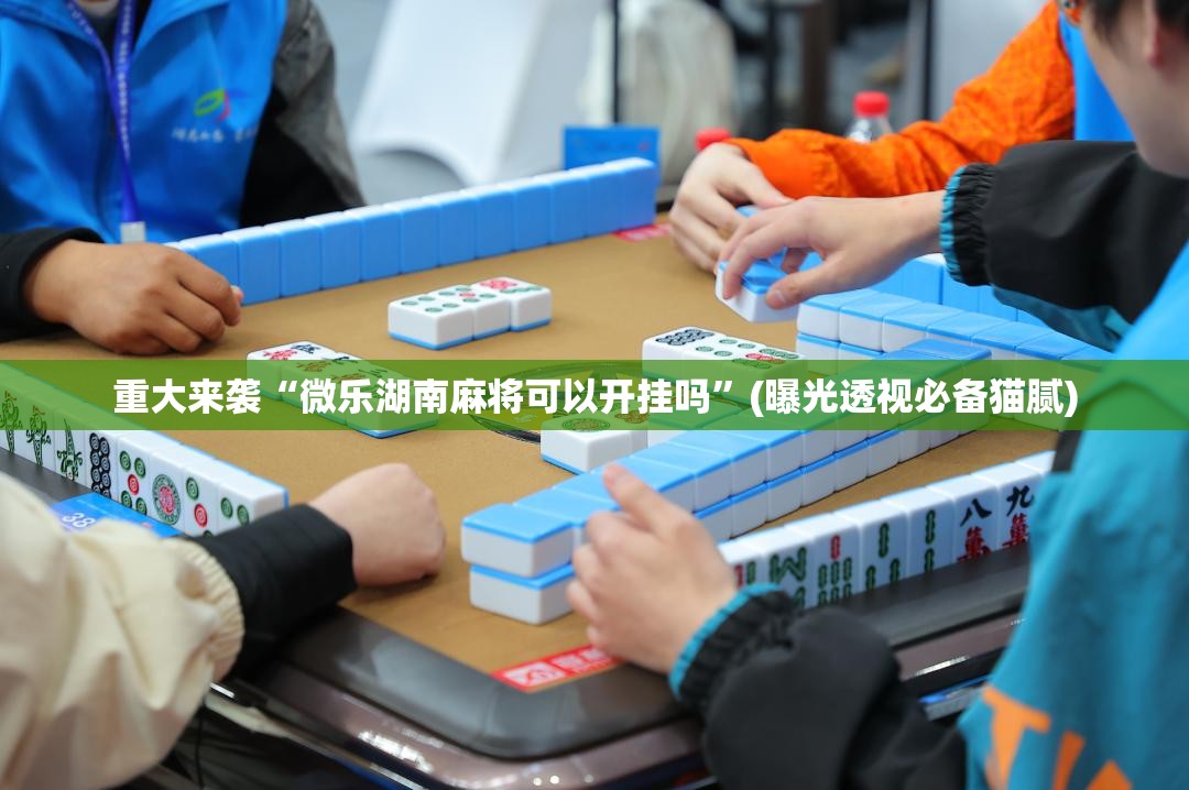 重大来袭“微乐湖南麻将可以开挂吗”(曝光透视必备猫腻) 重大来袭“微乐湖南麻将可以开挂吗”(曝光透视必备猫腻)
