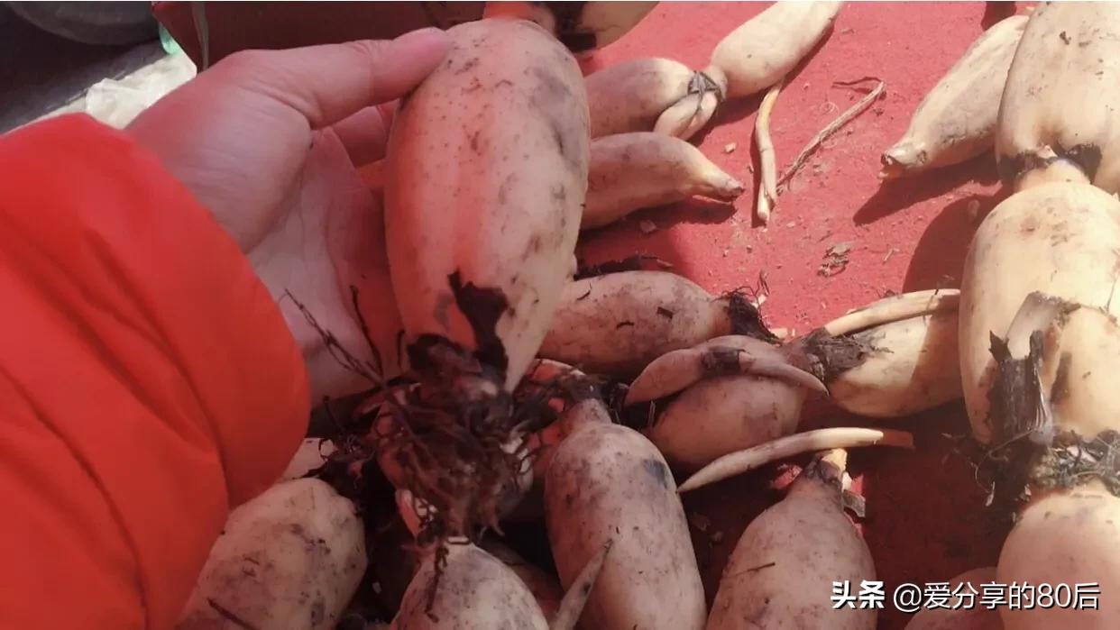 辽宁新增13例本土无症状/辽宁新增13例本土无症状病例