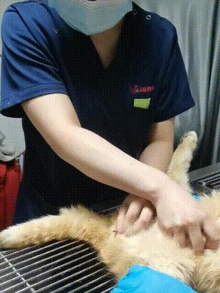 上海封控区名单/上海封控区名单最新
