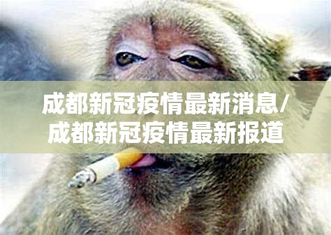 成都新冠疫情最新消息/成都新冠疫情最新报道