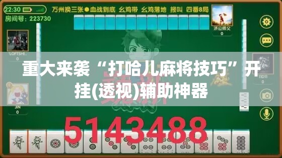 重大来袭“打哈儿麻将技巧”开挂(透视)辅助神器 重大来袭“打哈儿麻将技巧”开挂(透视)辅助神器