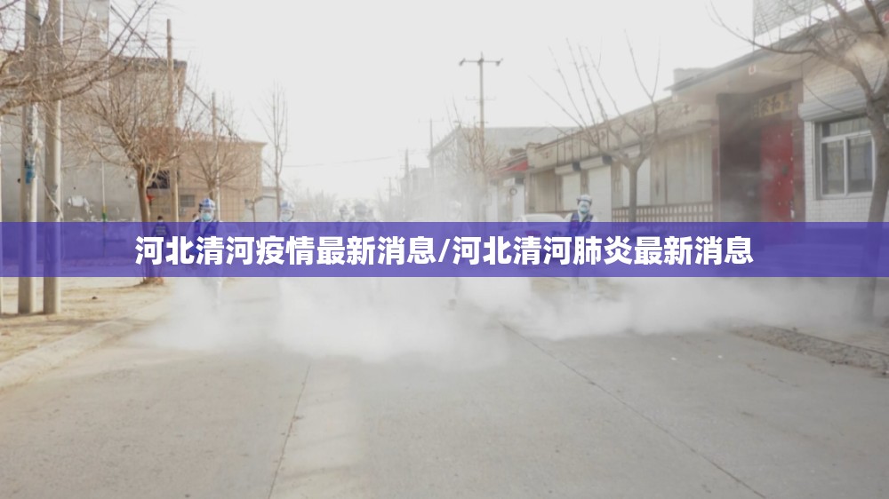 河北清河疫情最新消息/河北清河肺炎最新消息
