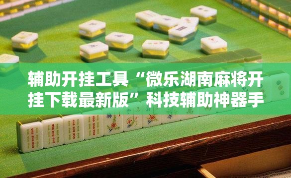 辅助开挂工具“微乐湖南麻将开挂下载最新版”科技辅助神器手机版教程 辅助开挂工具“微乐湖南麻将开挂下载最新版”科技辅助神器手机版教程