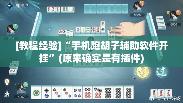 [教程经验]“手机跑胡子辅助软件开挂”(原来确实是有插件)