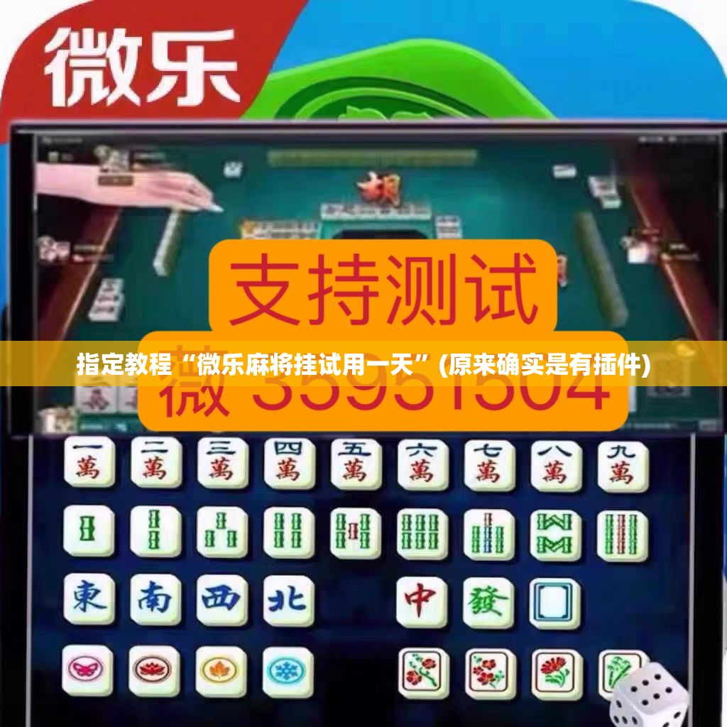指定教程“微乐麻将挂试用一天”(原来确实是有插件) 指定教程“微乐麻将挂试用一天”(原来确实是有插件)