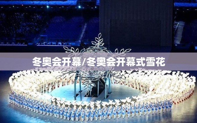 冬奥会开幕/冬奥会开幕式雪花 冬奥会开幕/冬奥会开幕式雪花
