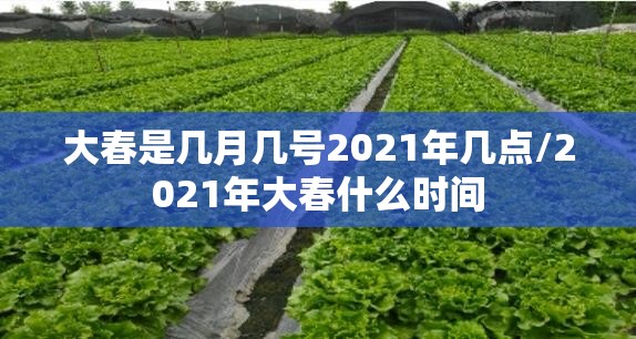 大春是几月几号2021年几点/2021年大春什么时间