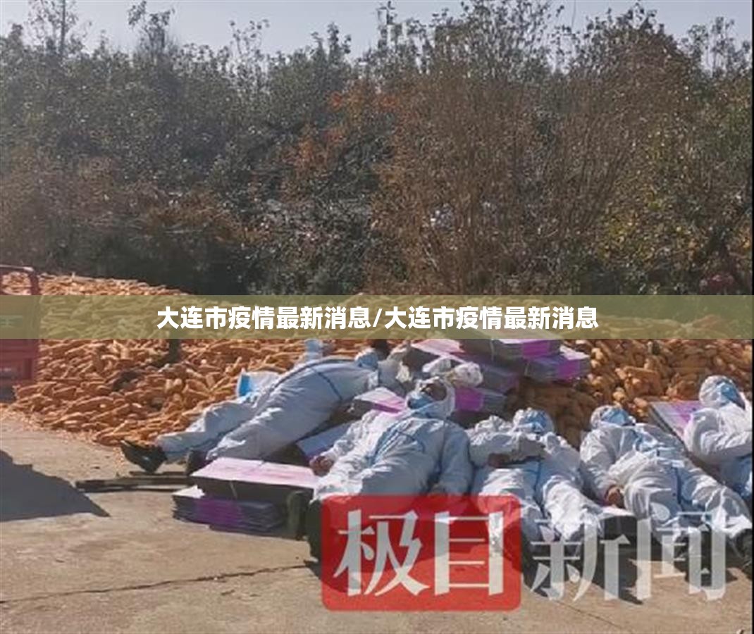 大连市疫情最新消息/大连市疫情最新消息