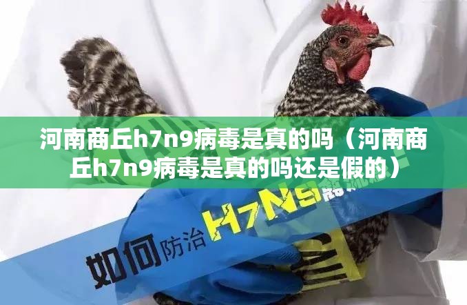 河南商丘h7n9病毒是真的吗(河南商丘h7n9病毒是真的吗还是假的) 河南商丘h7n9病毒是真的吗(河南商丘h7n9病毒是真的吗还是假的)