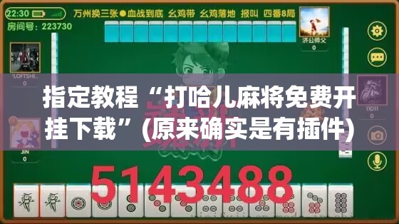 指定教程“打哈儿麻将免费开挂下载”(原来确实是有插件)