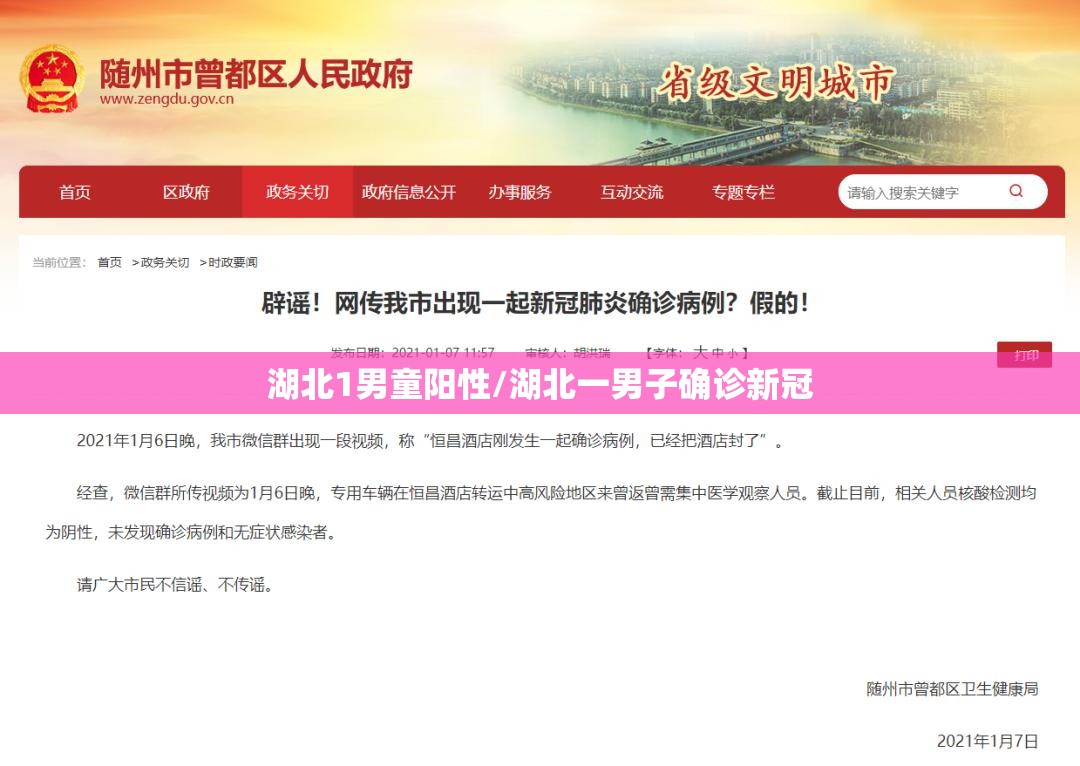 湖北1男童阳性/湖北一男子确诊新冠