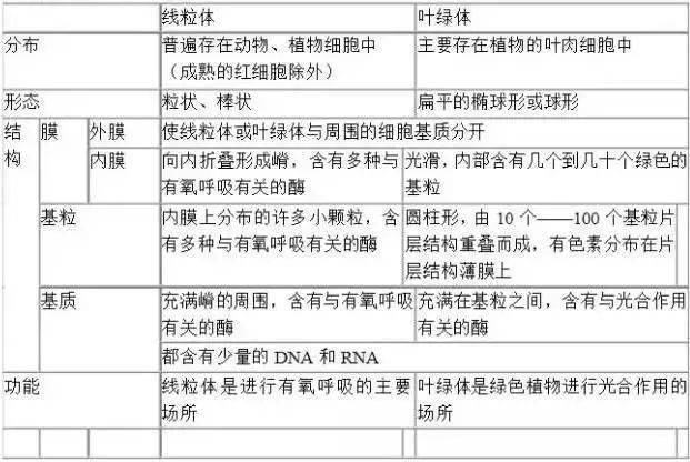 必备科技“?方片十三张辅助”附开挂脚本详细教程 必备科技“?方片十三张辅助”附开挂脚本详细教程