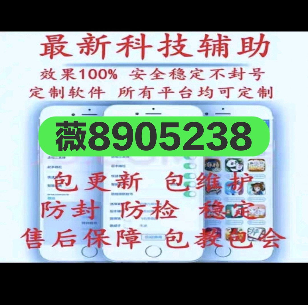 安装程序教程“哈灵麻将有挂吗”(透视挂)辅助透视教程