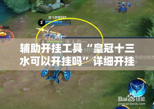 辅助开挂工具“皇冠十三水可以开挂吗”详细开挂玩法