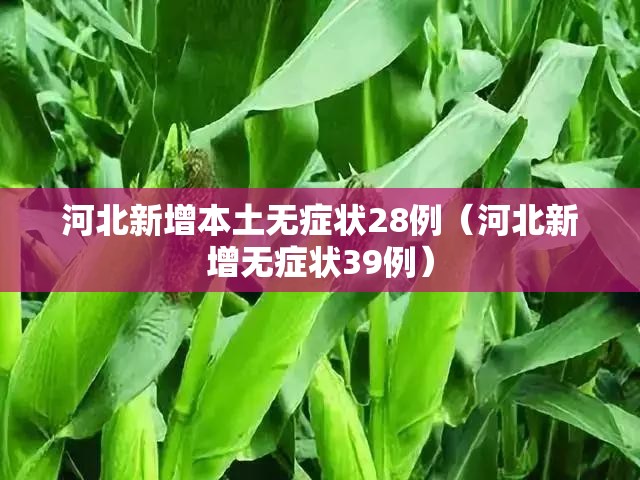 河北新增本土无症状28例(河北新增无症状39例) 河北新增本土无症状28例(河北新增无症状39例)