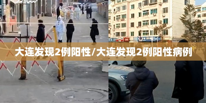 大连发现2例阳性/大连发现2例阳性病例 大连发现2例阳性/大连发现2例阳性病例