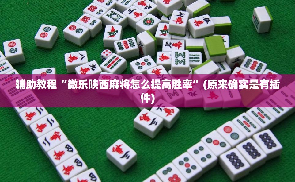 辅助教程“微乐陕西麻将怎么提高胜率”(原来确实是有插件) 辅助教程“微乐陕西麻将怎么提高胜率”(原来确实是有插件)